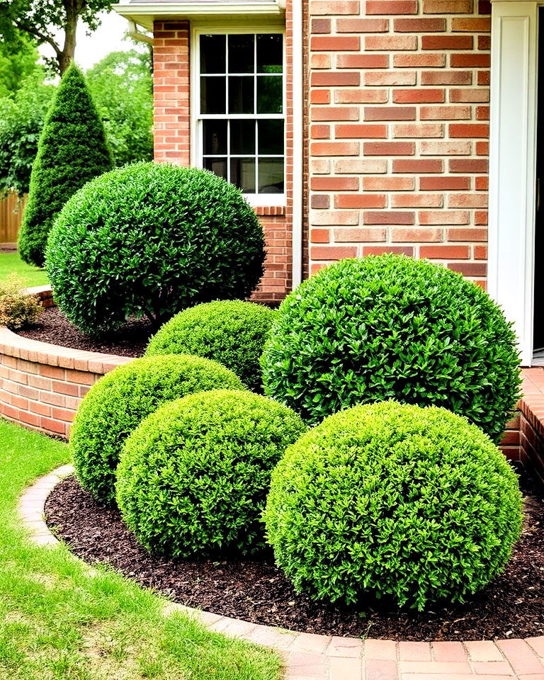 boxwood shrubs with hardscaping elements - 20 Front Yard Boxwood Shrubs
