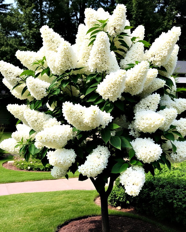 compact landscape with ivory silk lilac tree - 30 Small Trees for Front Yard