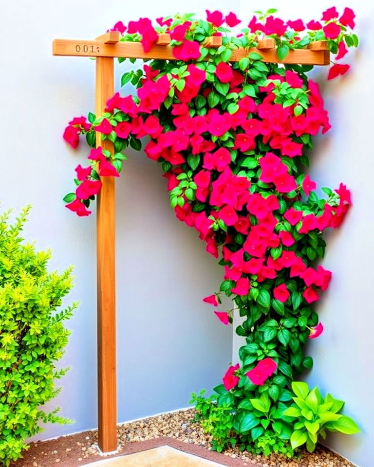 corner trellis with bougainvillea display - 30 Corner Landscaping Ideas