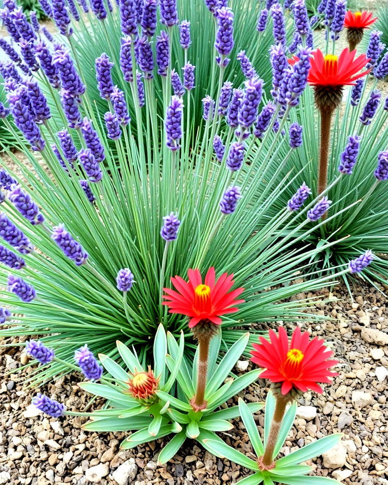 fire resistant drought tolerant plants - 30 Drought Tolerant Landscaping Ideas