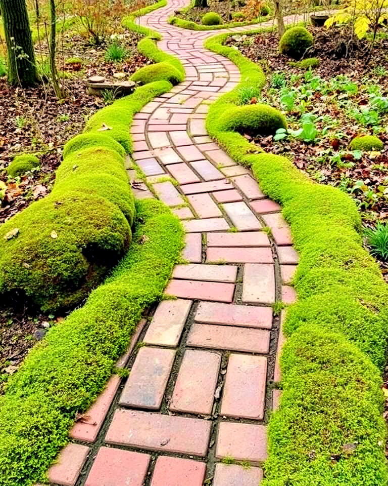functional brick pathway with wild edging - 20 Woodland Garden Path Ideas