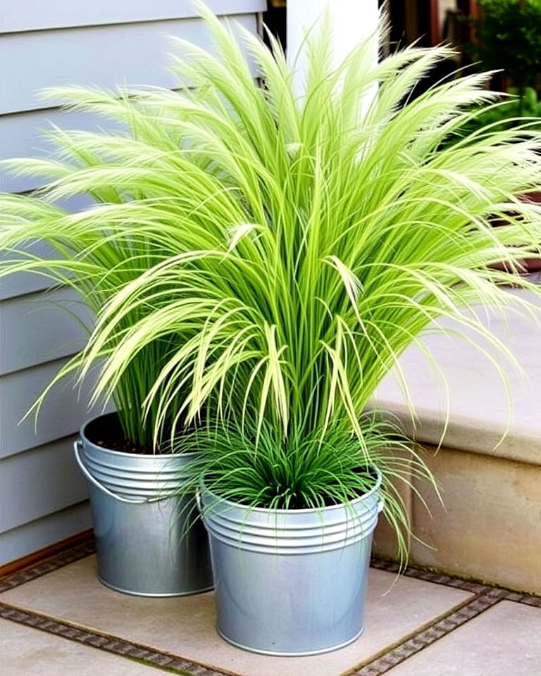 garden buckets with ornamental grass display - 20 Bucket Garden Ideas