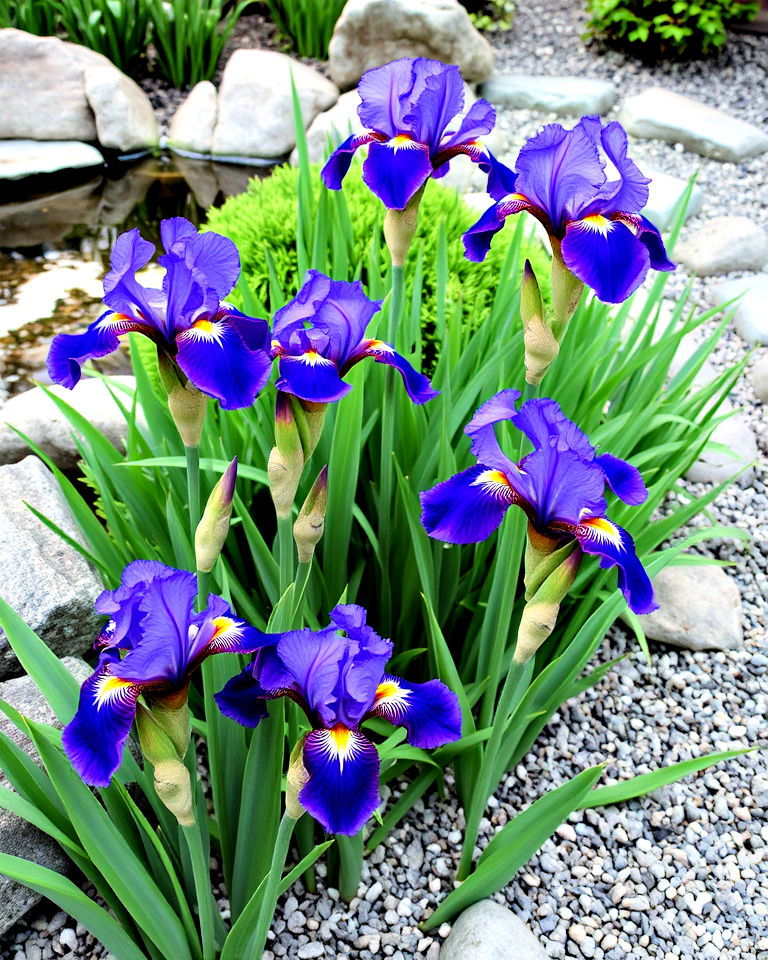 japanese garden with iris flowers - 40 Japanese Garden Ideas