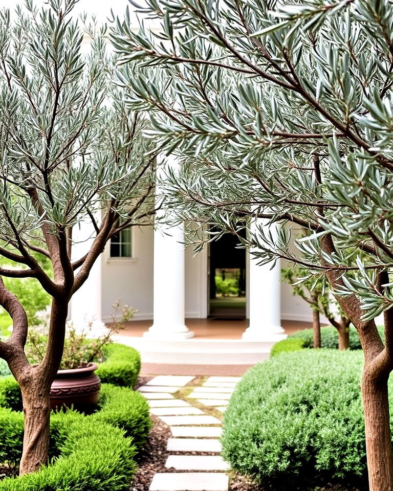 low maintenance olive trees - 30 Greek Garden Ideas