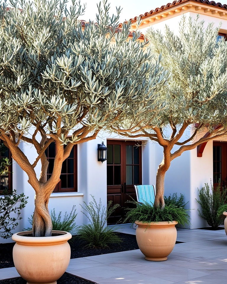 mediterranean landscape with olive trees - 40 Spanish Style Home Exterior Ideas