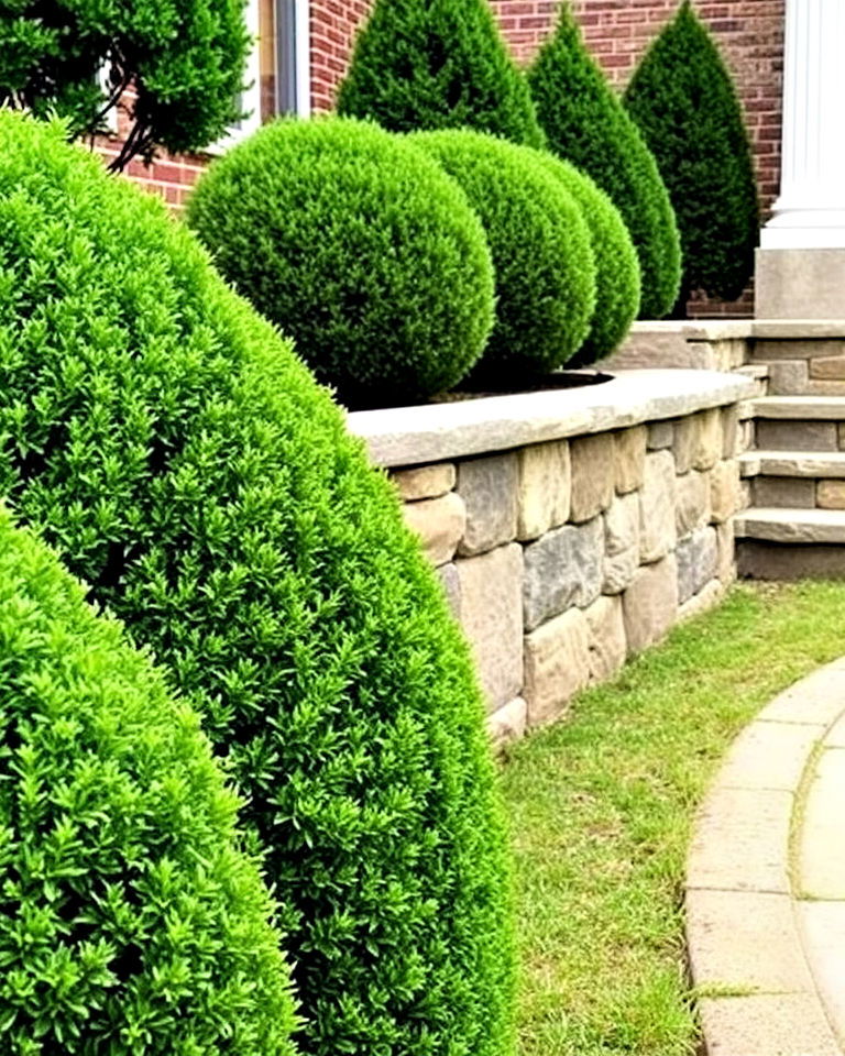 plant boxwood shrubs along retaining walls - 20 Front Yard Boxwood Shrubs