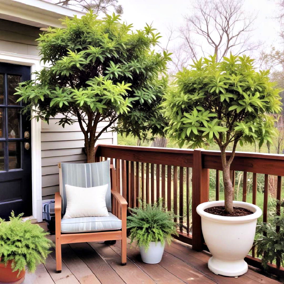 potted trees for deck decorating - 25 Deck Decorating Ideas With Plants