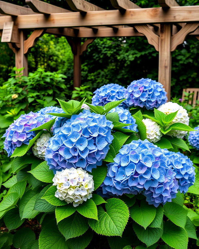 shady garden with hydrangeas - 20 Shady Garden Ideas