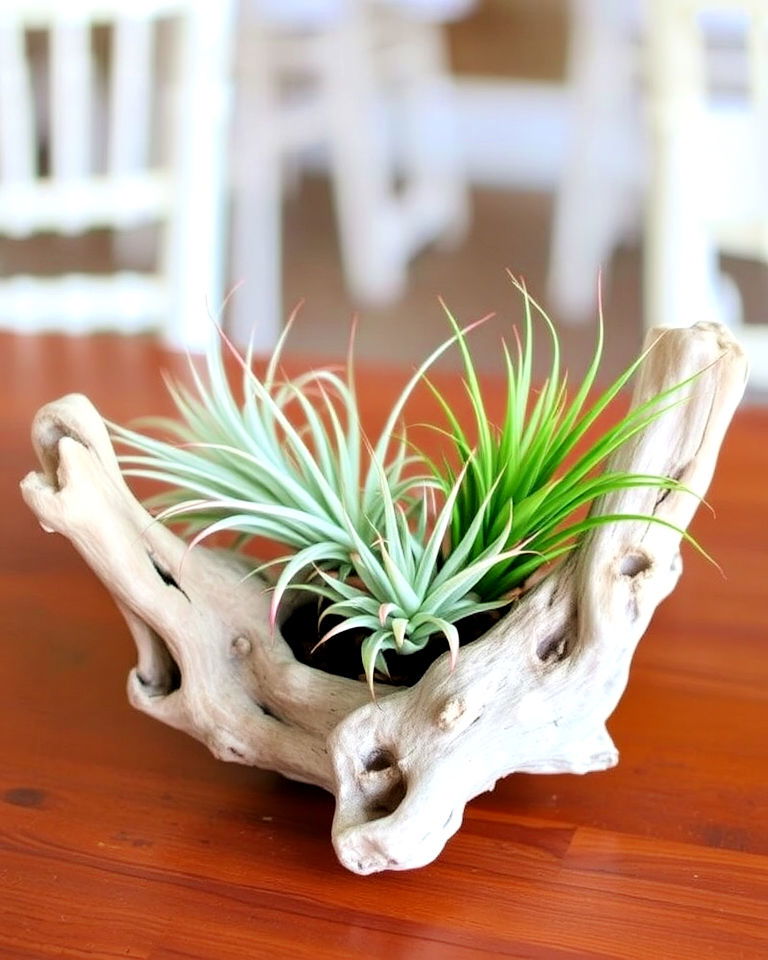 unique driftwood with air plants centerpiece - 30 Rehearsal Dinner Centerpiece Ideas