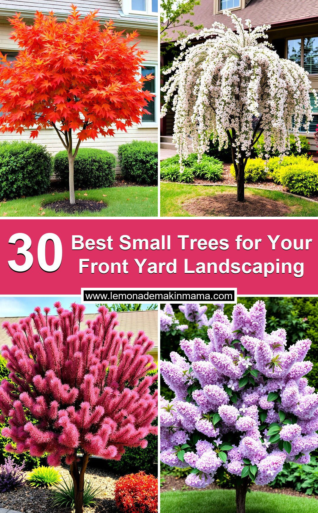 Best Small Trees for Your Front Yard Landscaping