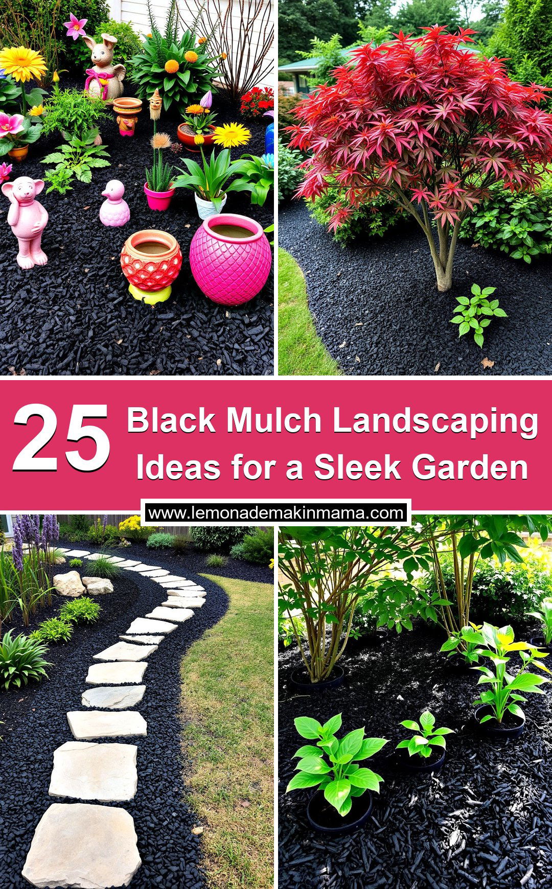 Black Mulch Landscaping Ideas for a Sleek Garden