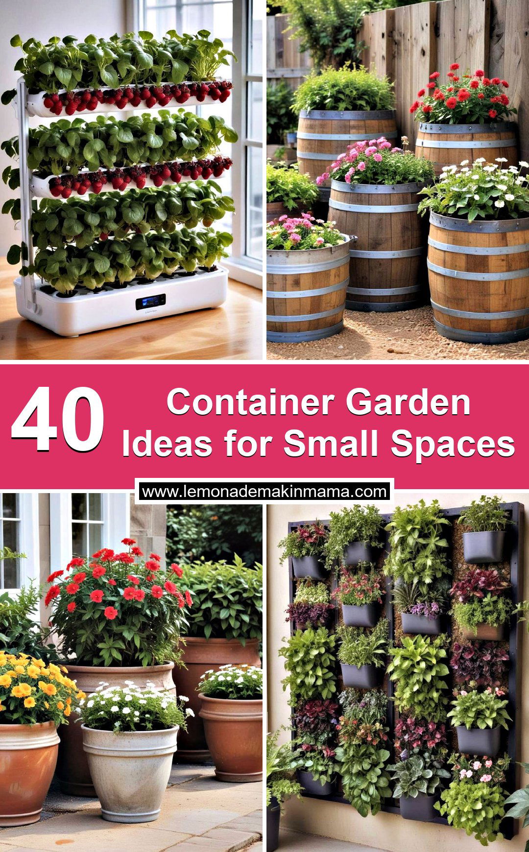 Container Garden Ideas for Small Spaces