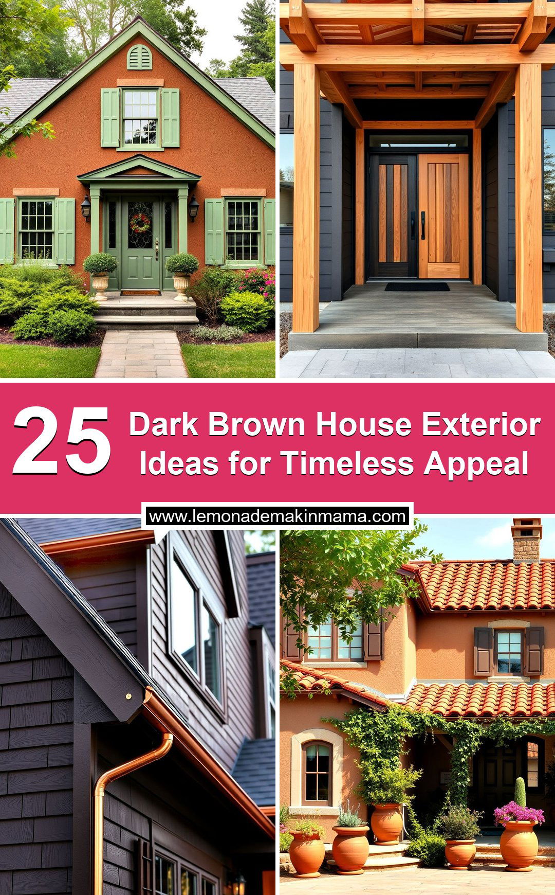 Dark Brown House Exterior Ideas for Timeless Appeal