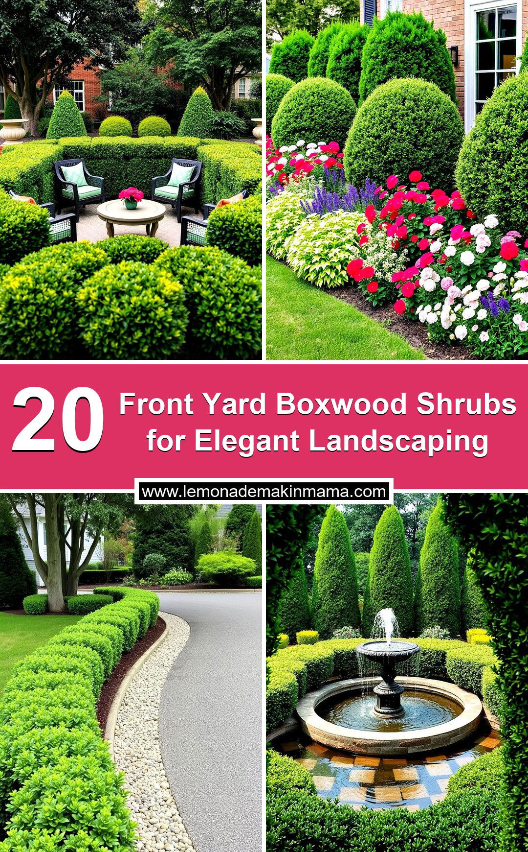 Front Yard Boxwood Shrubs for Elegant Landscaping