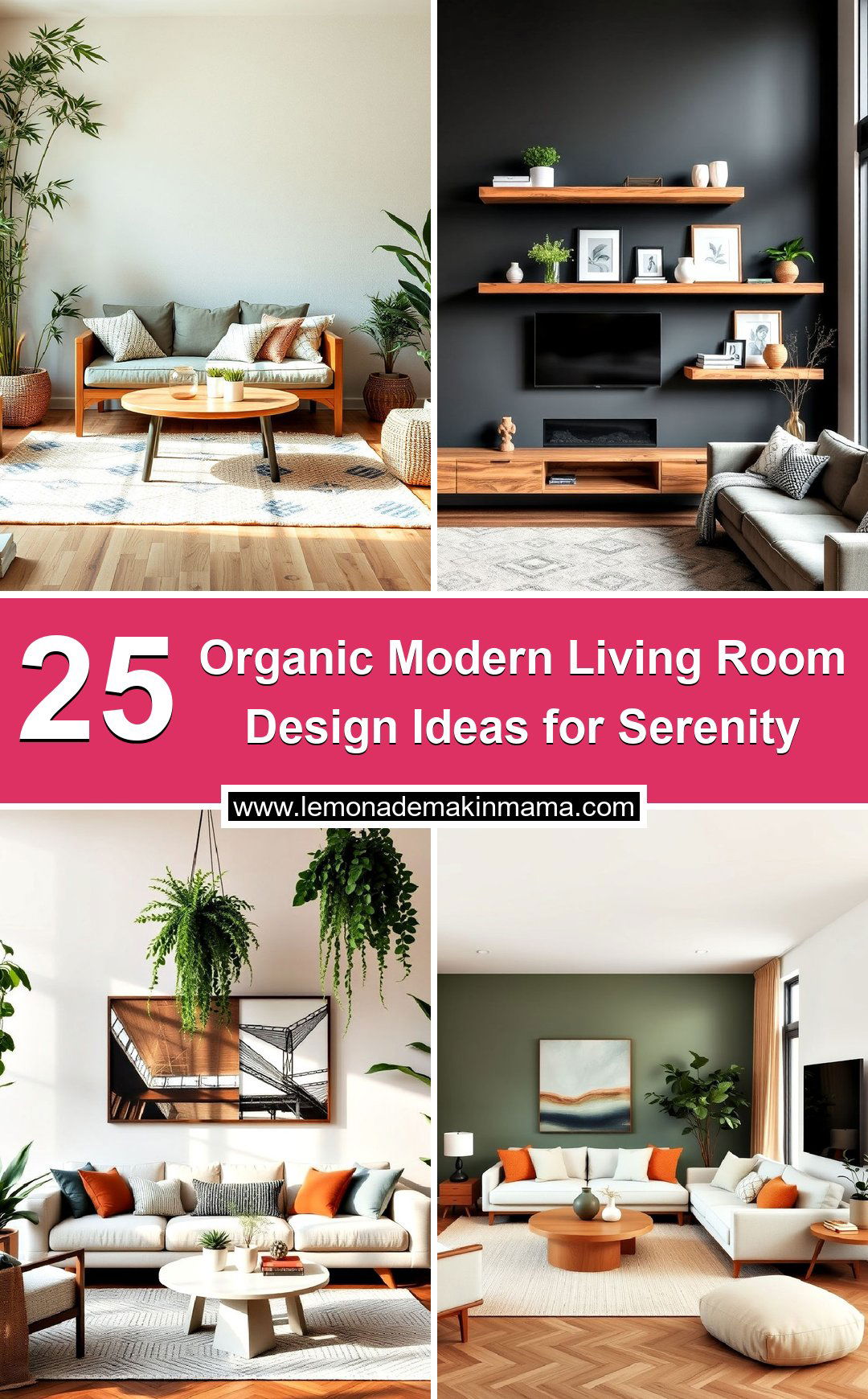 Organic Modern Living Room Design Ideas for Serenity