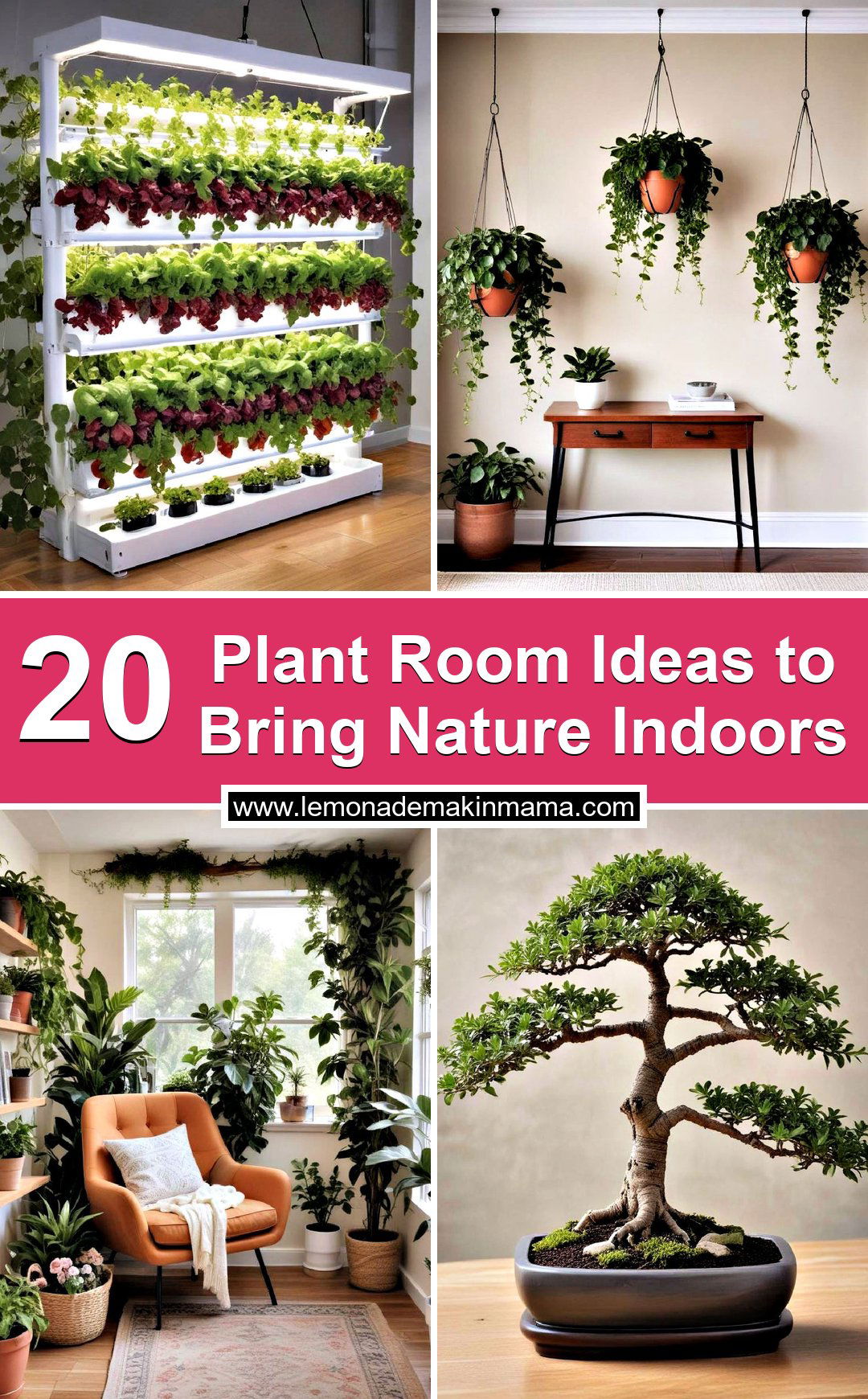 Plant Room Ideas to Bring Nature Indoors