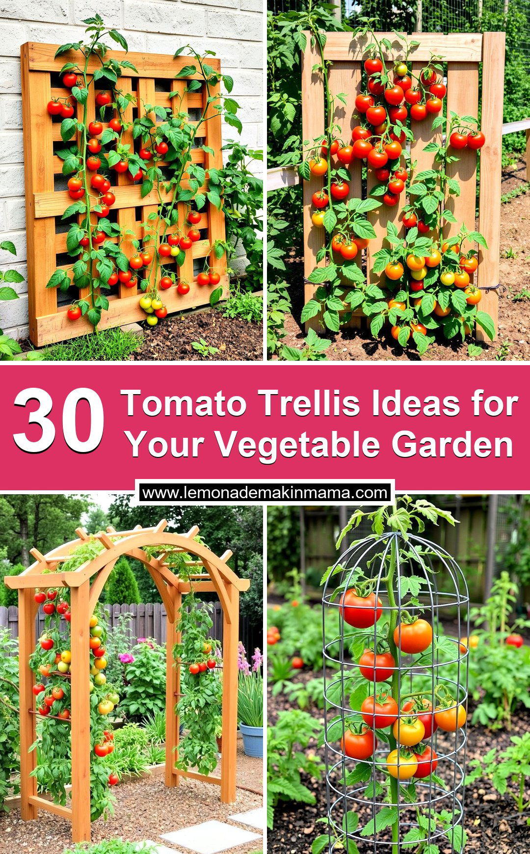 Tomato Trellis Ideas for Your Vegetable Garden