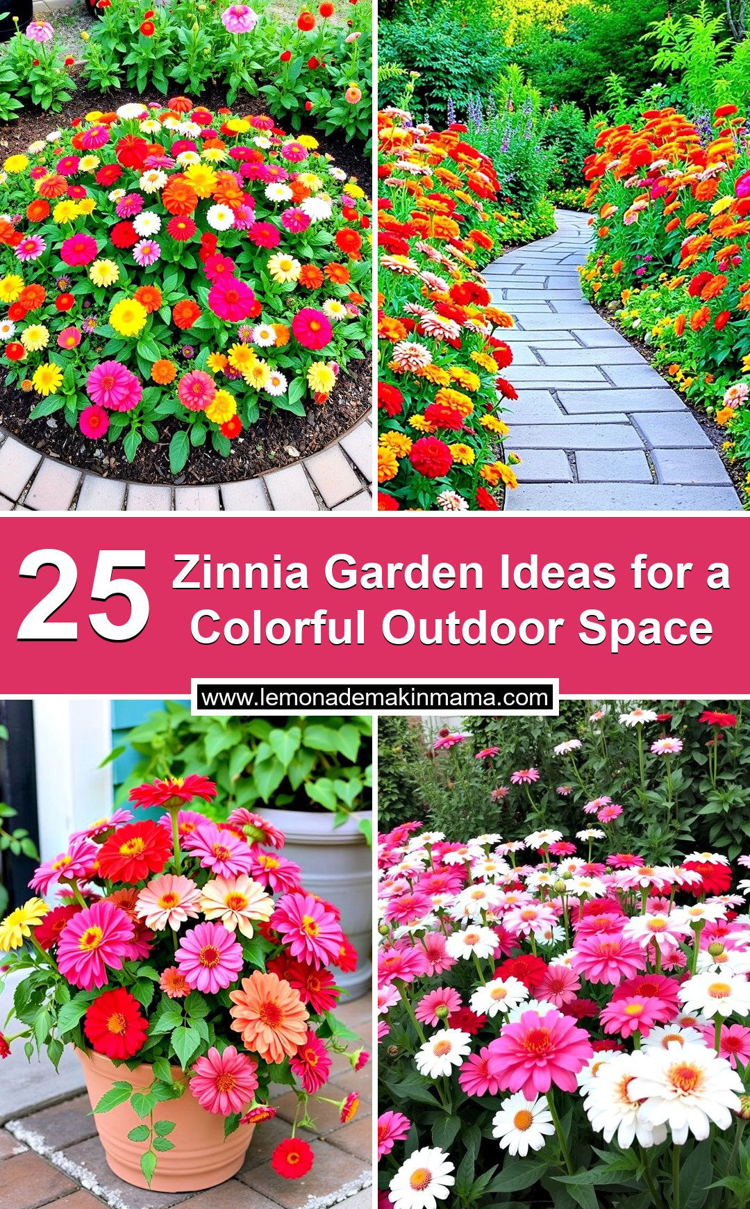 Zinnia Garden Ideas for a Colorful Outdoor Space