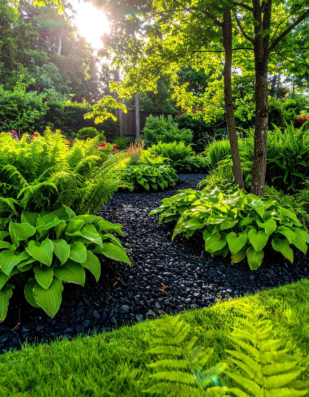 Black River Rock Mulch Replacement - 20 Black River Rock Landscaping Ideas for a Unique Look