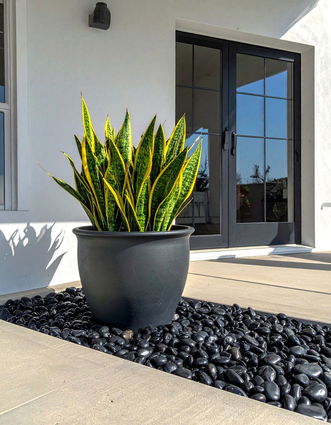 Black River Rock in Planters and Containers - 20 Black River Rock Landscaping Ideas for a Unique Look