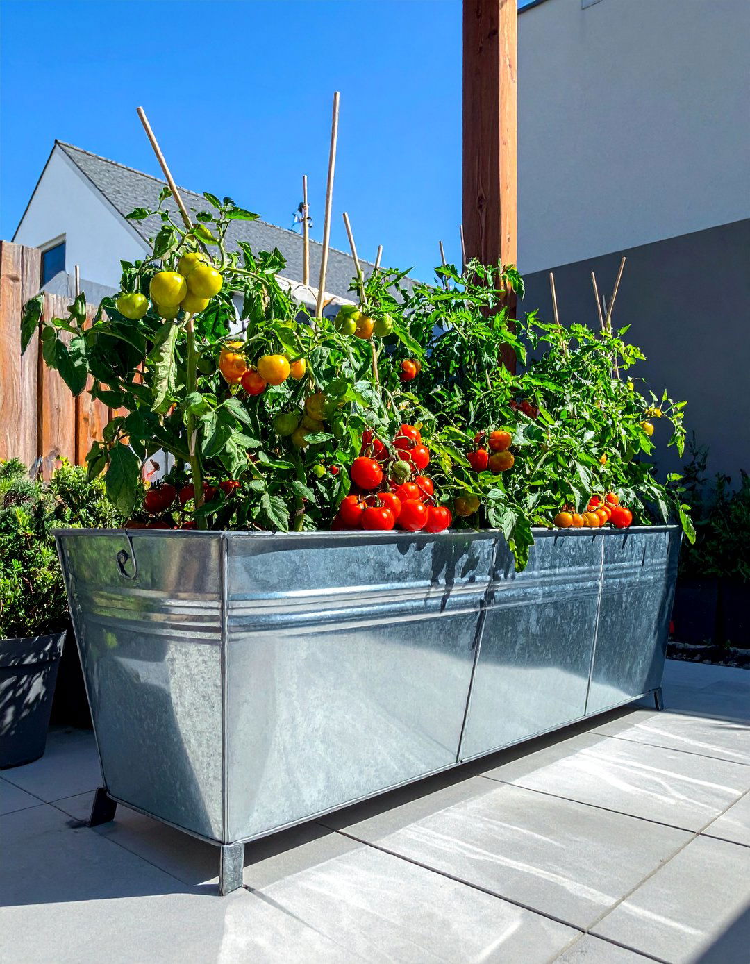Galvanized Trough Vegetable Container Garden - 40 Container Garden Ideas for Small Spaces