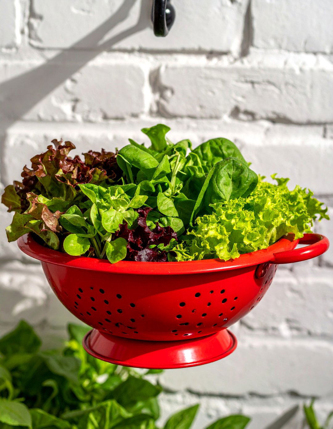 Hanging Colander Salad Green Container Garden - 40 Container Garden Ideas for Small Spaces