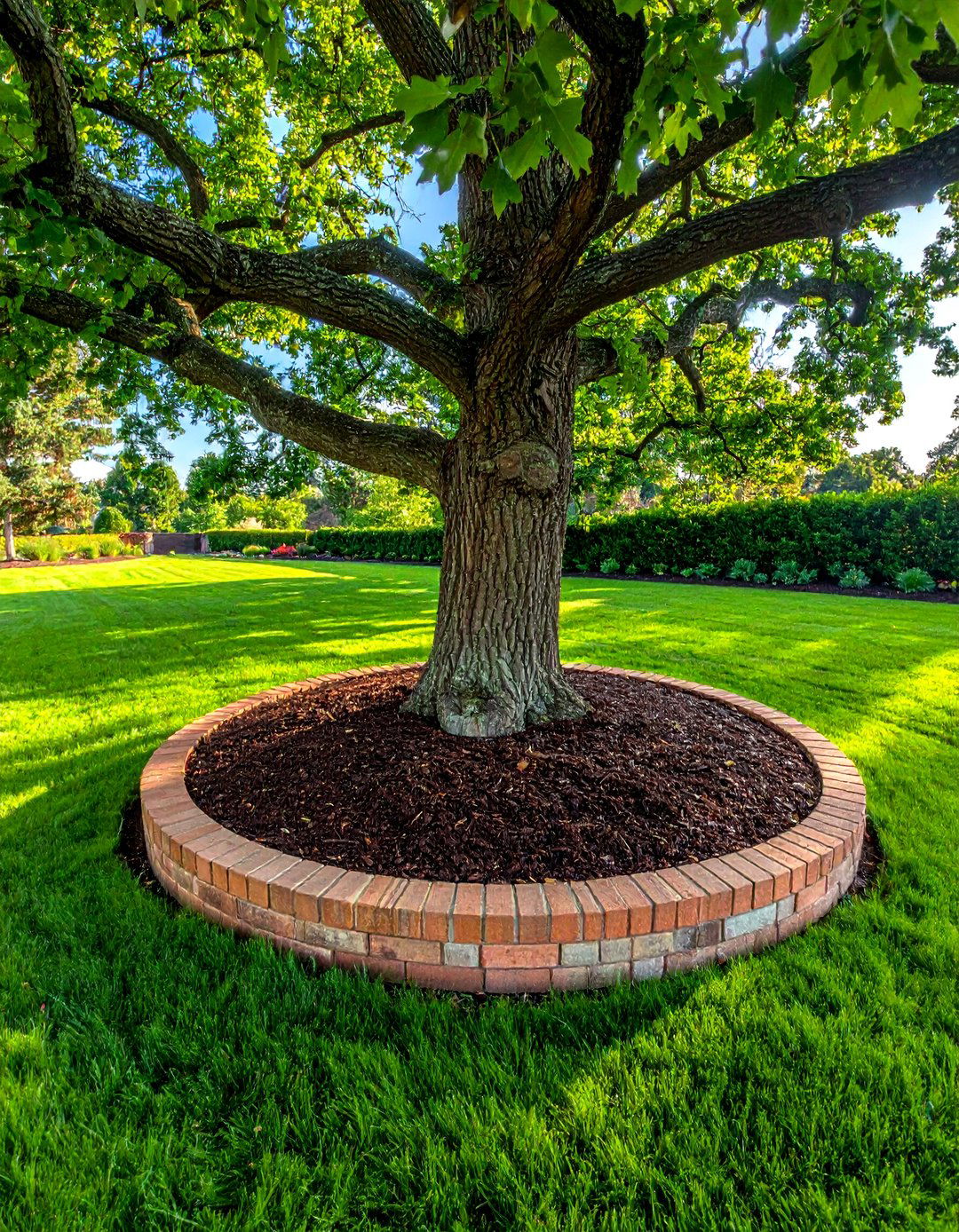 Mortarless Brick Tree Ring - 20 Brick Landscaping Ideas for Timeless Outdoor Charm