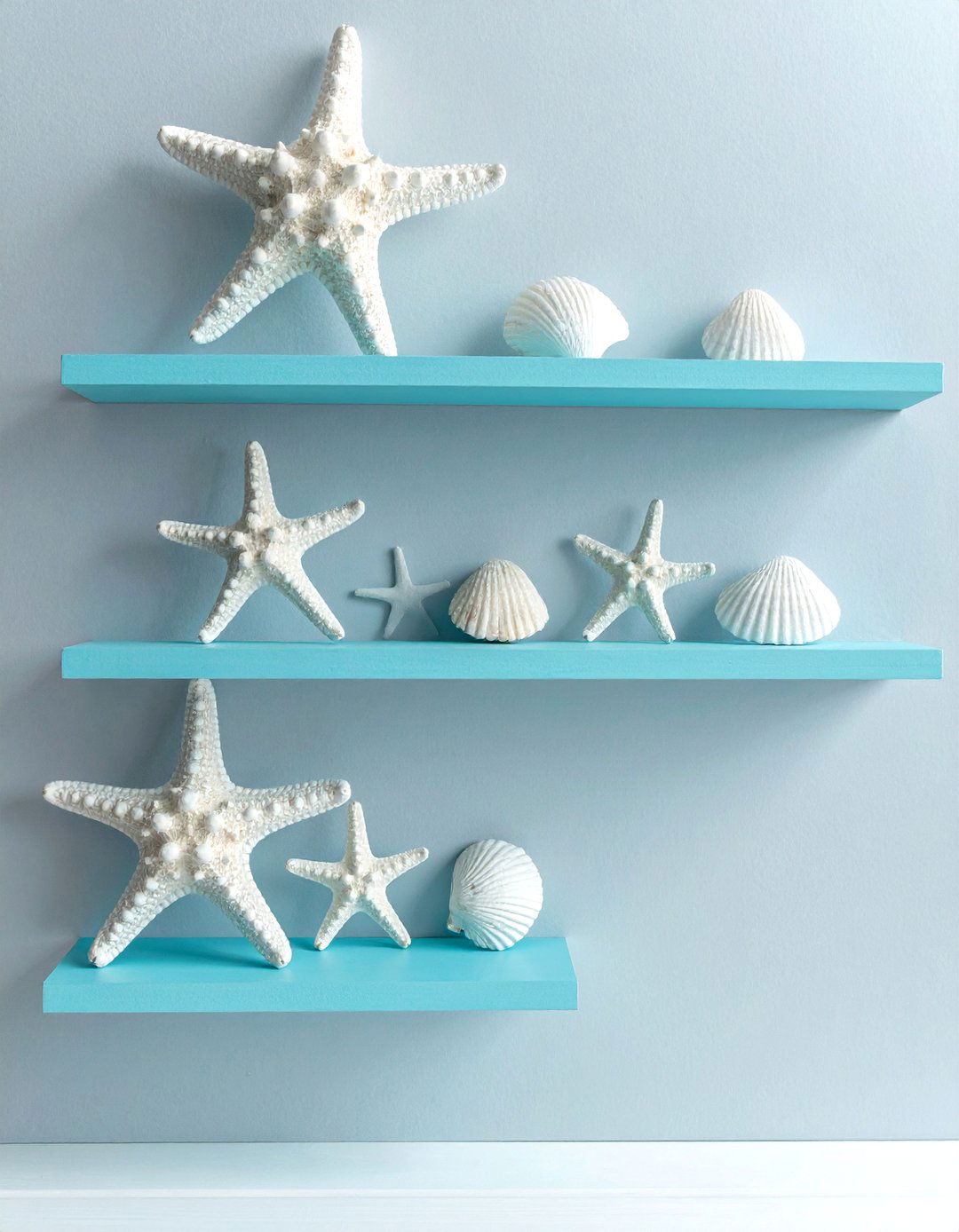 Starfish and Sand Dollar Decor - 20 Mermaid Room Ideas for a Magical Space