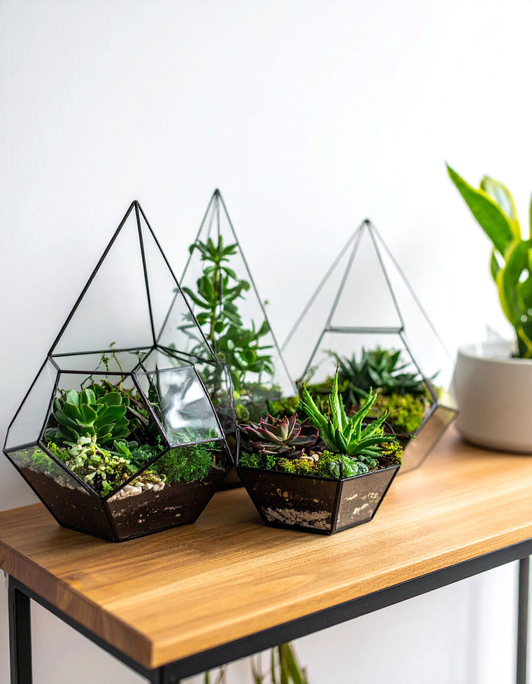 Terrarium and Miniature Plant Room - 20 Plant Room Ideas to Bring Nature Indoors