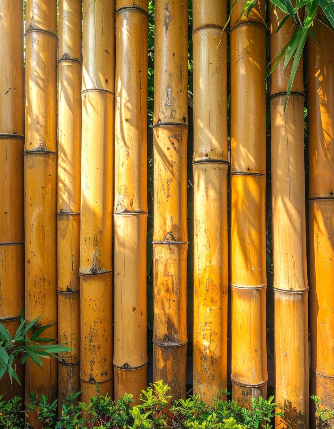 Textured Bark Bamboo Fence - 40 Japanese Fence Ideas for Serene Gardens
