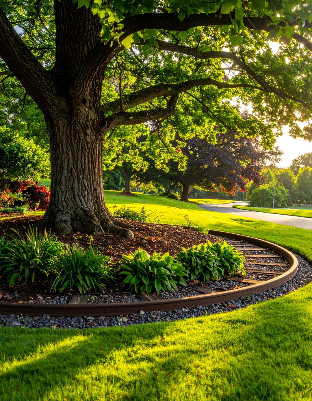 Tree Surround Features - 20 Railroad Ties Landscaping Ideas for Your Garden