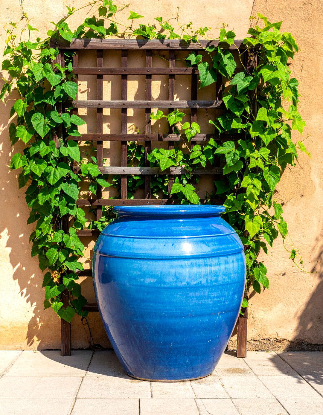 Trellis with Climbing Bean Container Garden - 40 Container Garden Ideas for Small Spaces