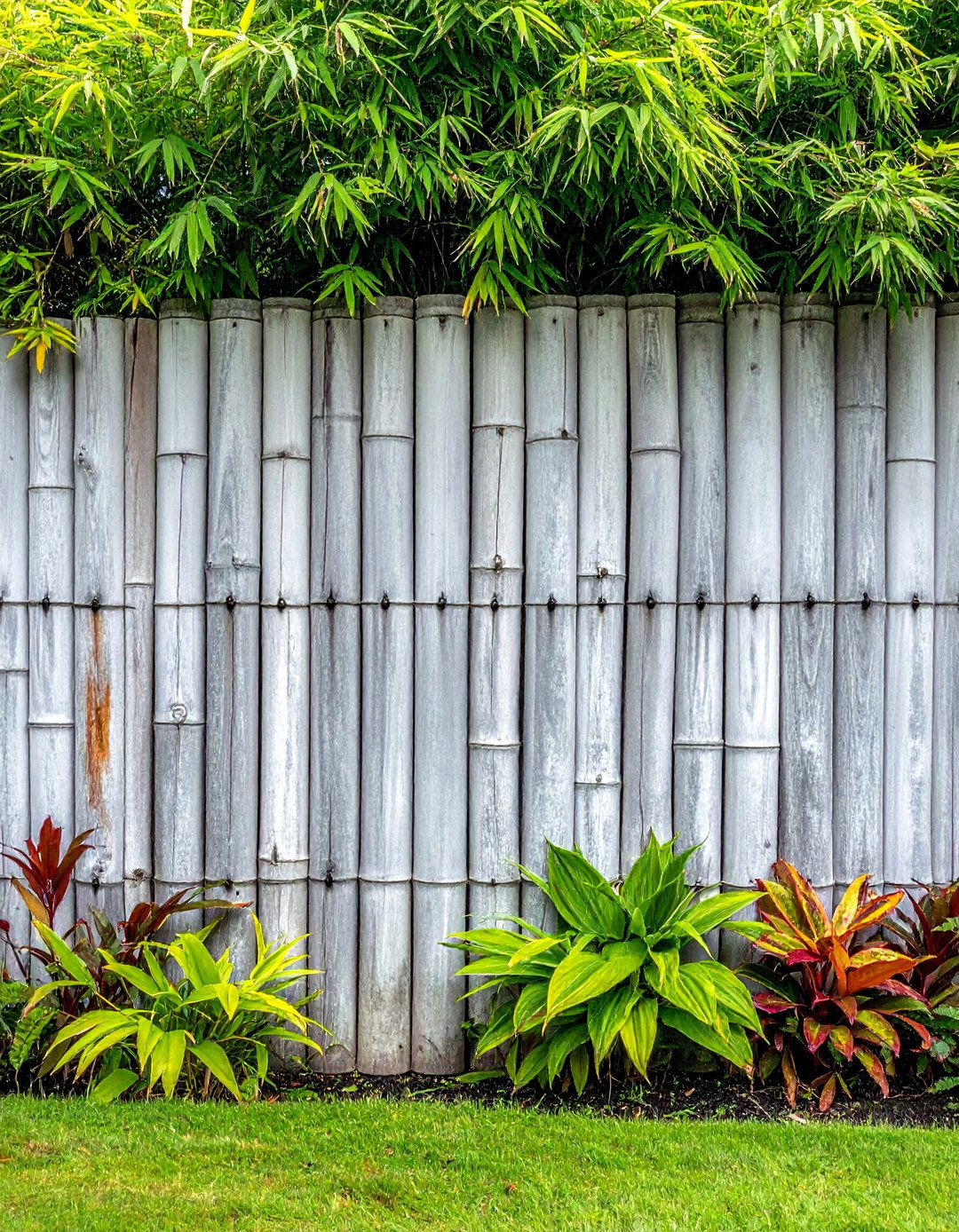 Weathered Gray Bamboo Fence - 40 Japanese Fence Ideas for Serene Gardens