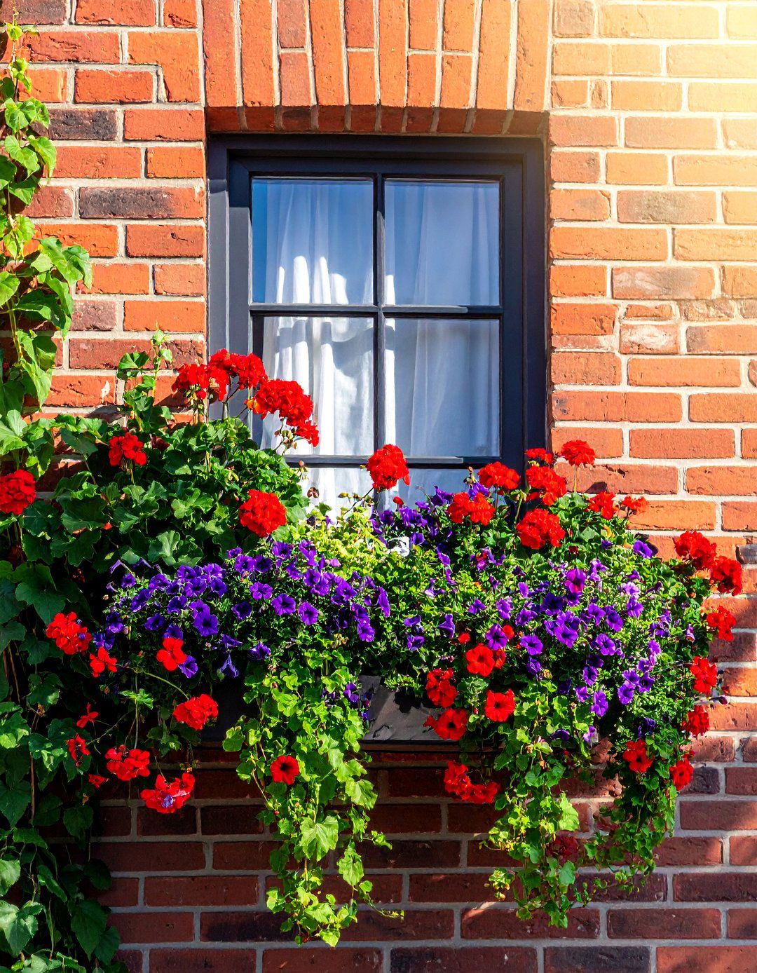 Window Box Flower Garden - 30 Flower Garden Ideas to Transform Your Outdoor Space
