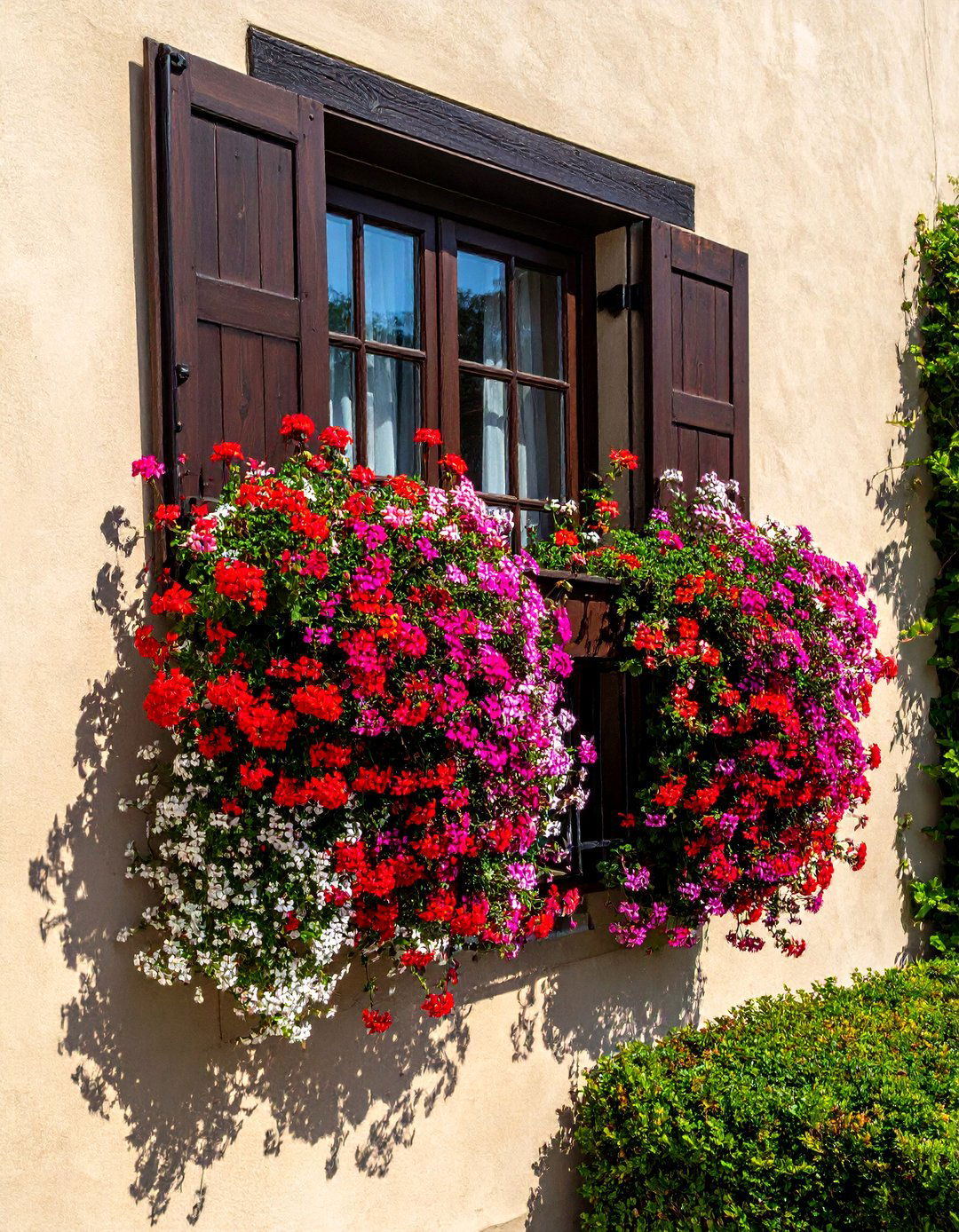 Window Boxes Overflowing with Flowers - 30 Traditional French Country House Exterior Ideas