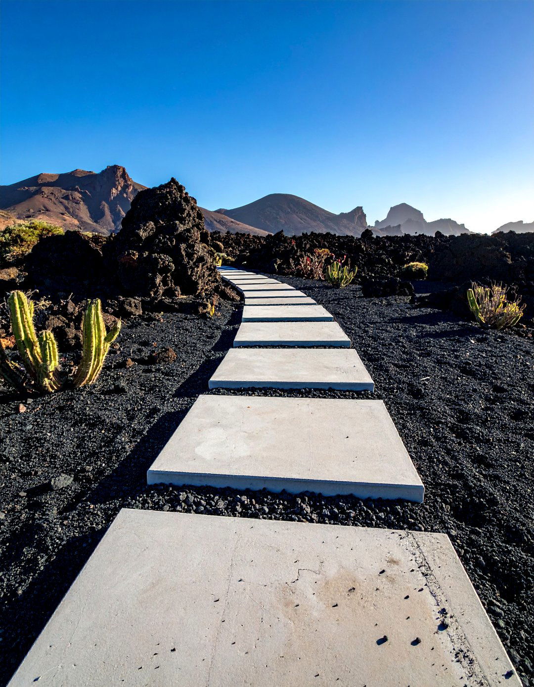 Black Lava Rock Stepping Stone Walkway - 30 Unique Stepping Stone Walkway Ideas for Your Yard