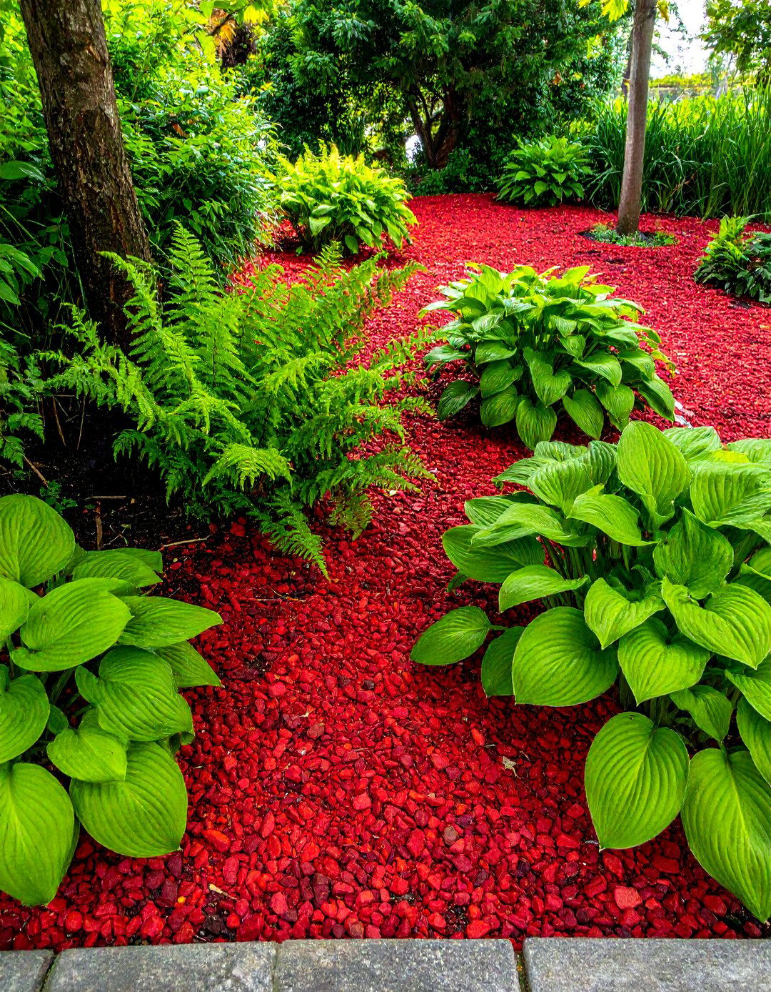 Contrasting Greenery with Red Lava Rock Ground Cover - 20 Red Lava Rock Landscaping Ideas for Bold Gardens