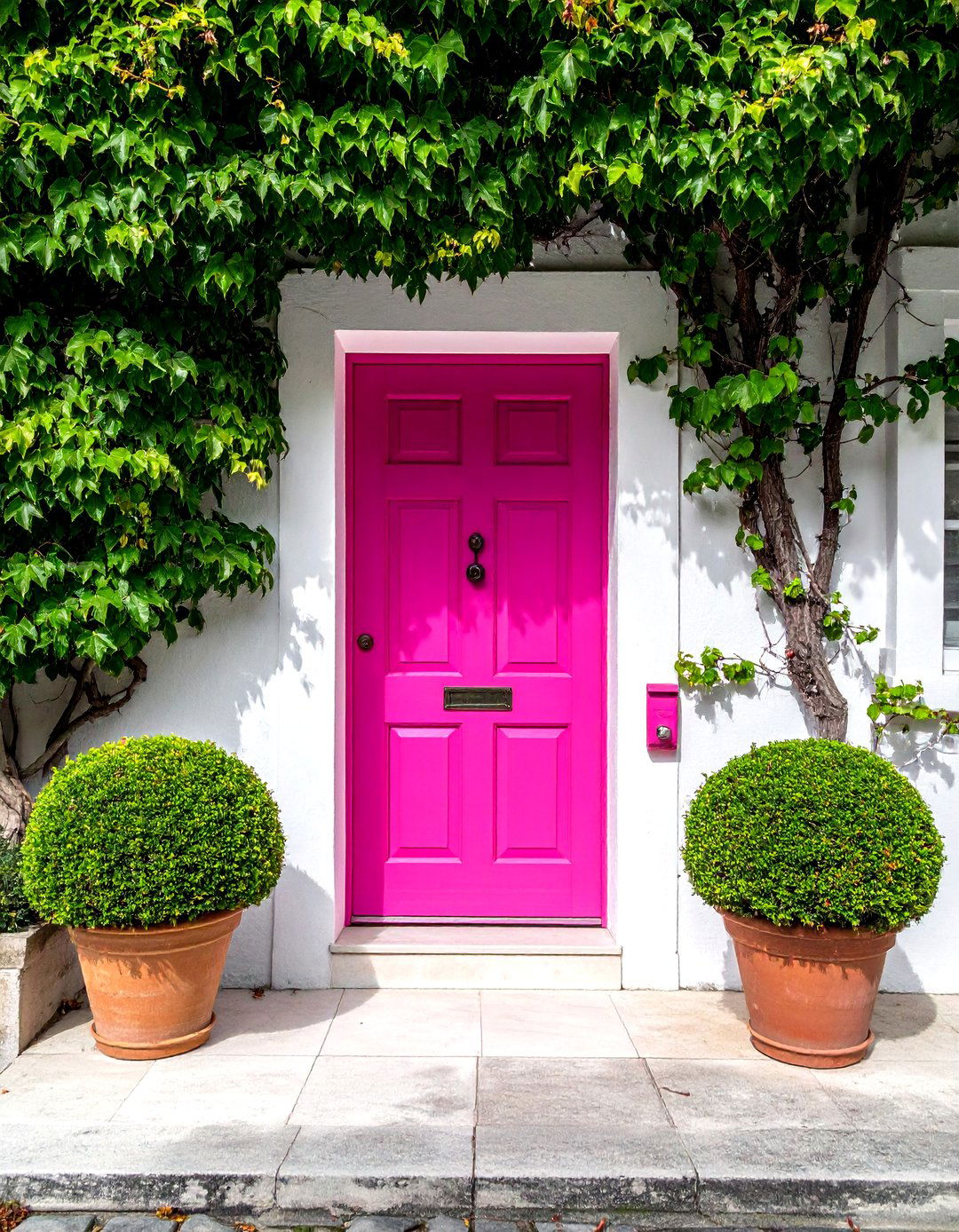 Fuchsia Pink Door Framed by Lush Greenery - 20 Pink Front Door Ideas for a Charming Entrance