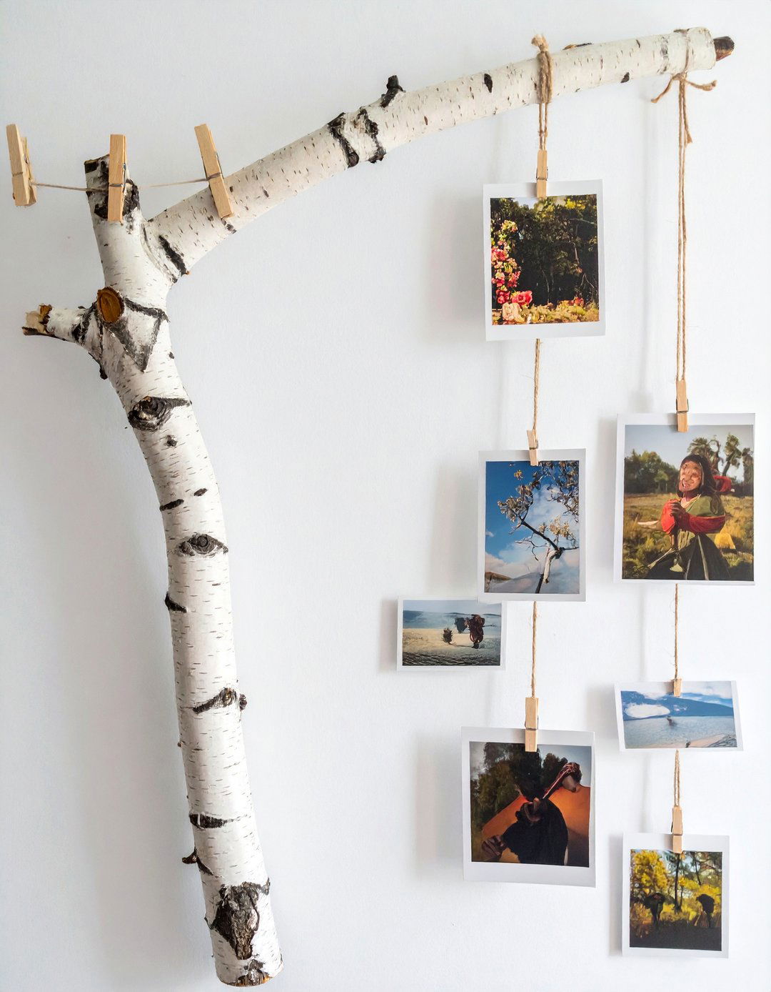Hanging Branch Photo Wall - 40 Photo Wall Ideas to Personalize Your Living Space