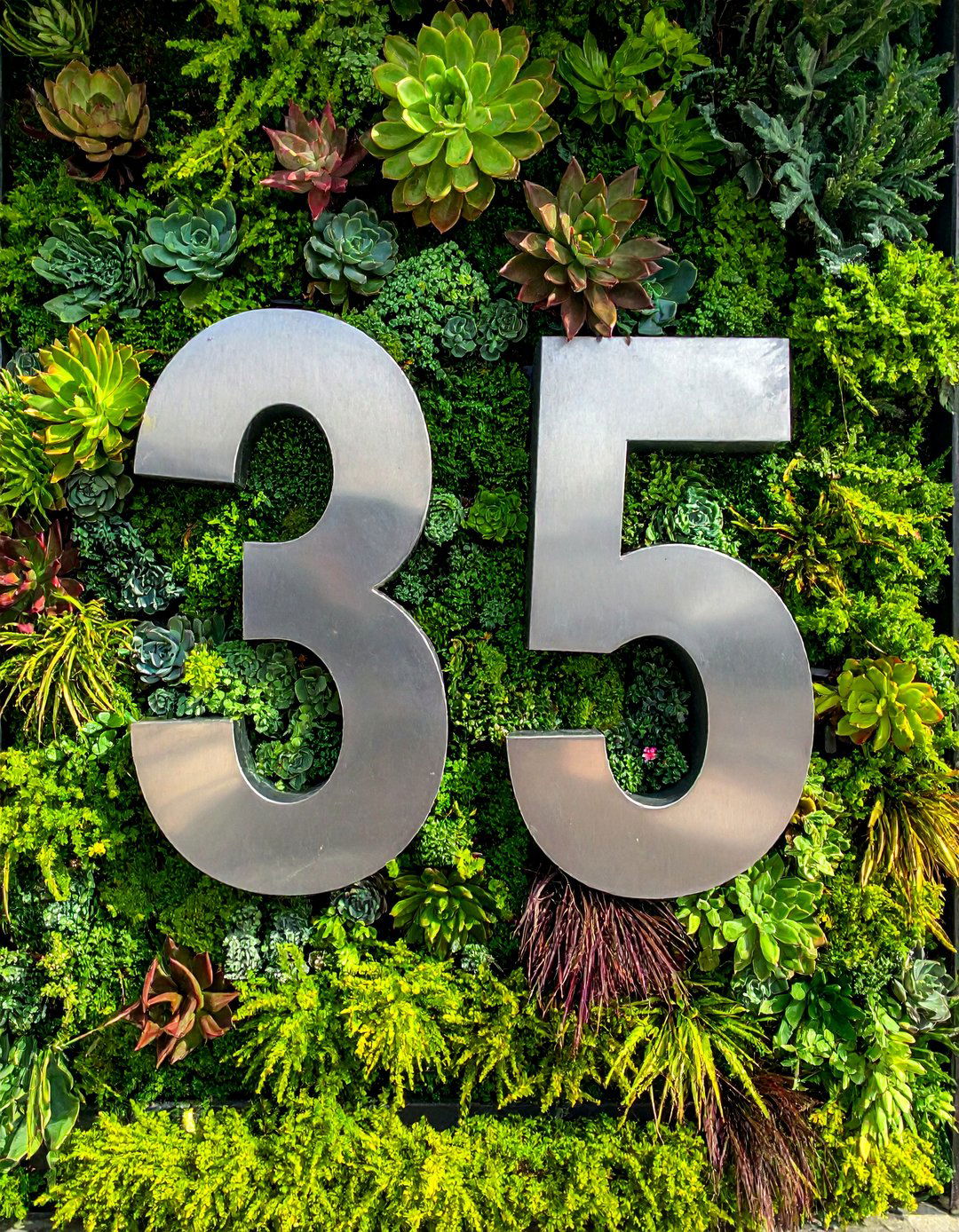 Living Green Wall House Numbers - 40 House Number Ideas for Curb Appeal