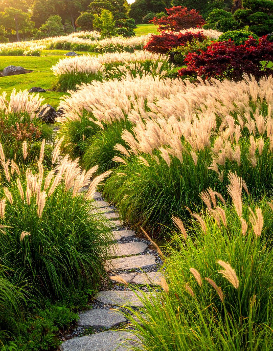 Ornamental Grass Meadow - 40 Japanese Garden Ideas for a Serene Outdoor Retreat