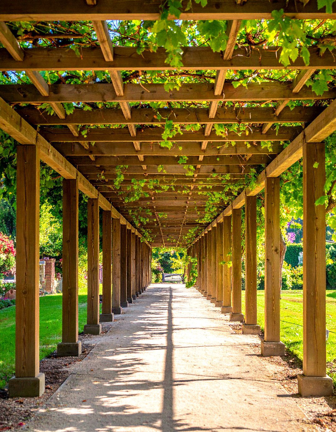 Pergola Style Extended Arbor - 40 Garden Arbor Ideas for a Charming Outdoor Retreat