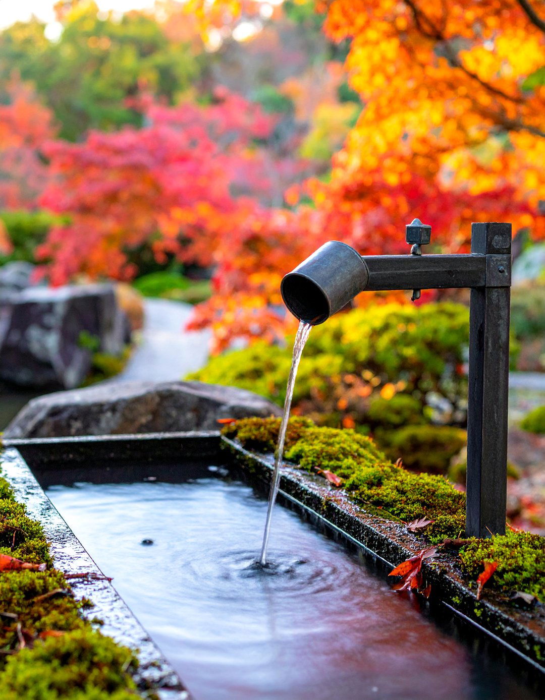 Rain Chain Water Collection - 40 Japanese Garden Ideas for a Serene Outdoor Retreat