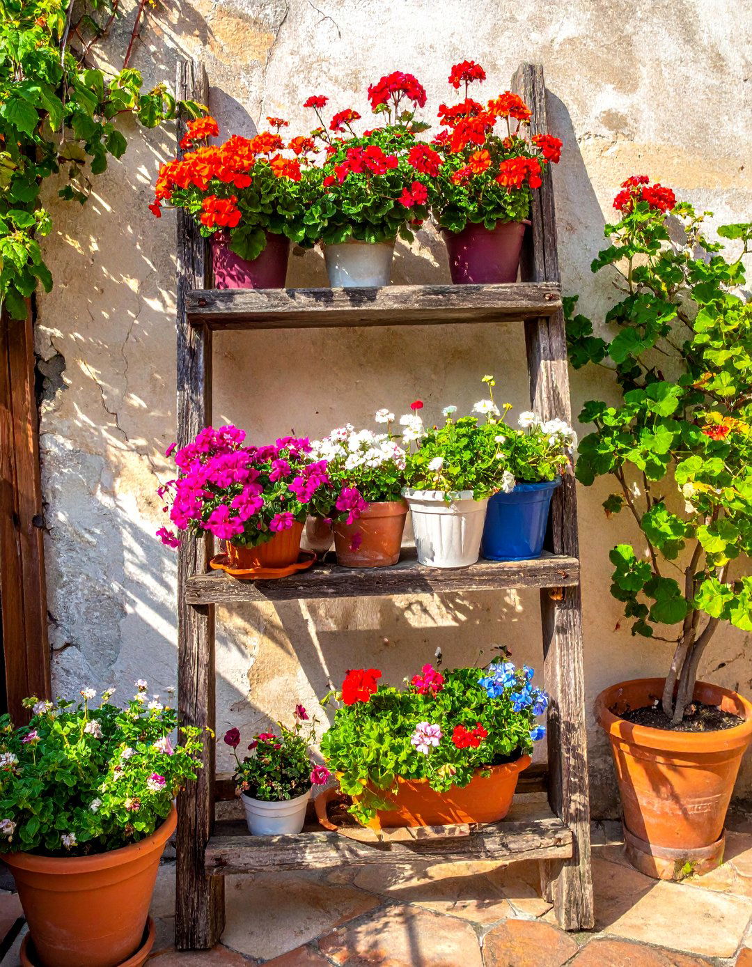 Repurposed Ladder Plant Stand - 40 Small Patio Ideas on a Budget for Cozy Outdoor Living