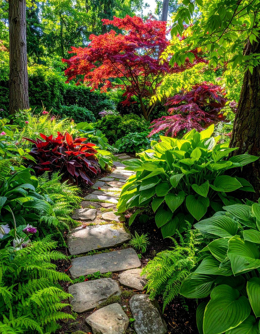 Shade Garden Hostas Display - 40 Japanese Garden Ideas for a Serene Outdoor Retreat