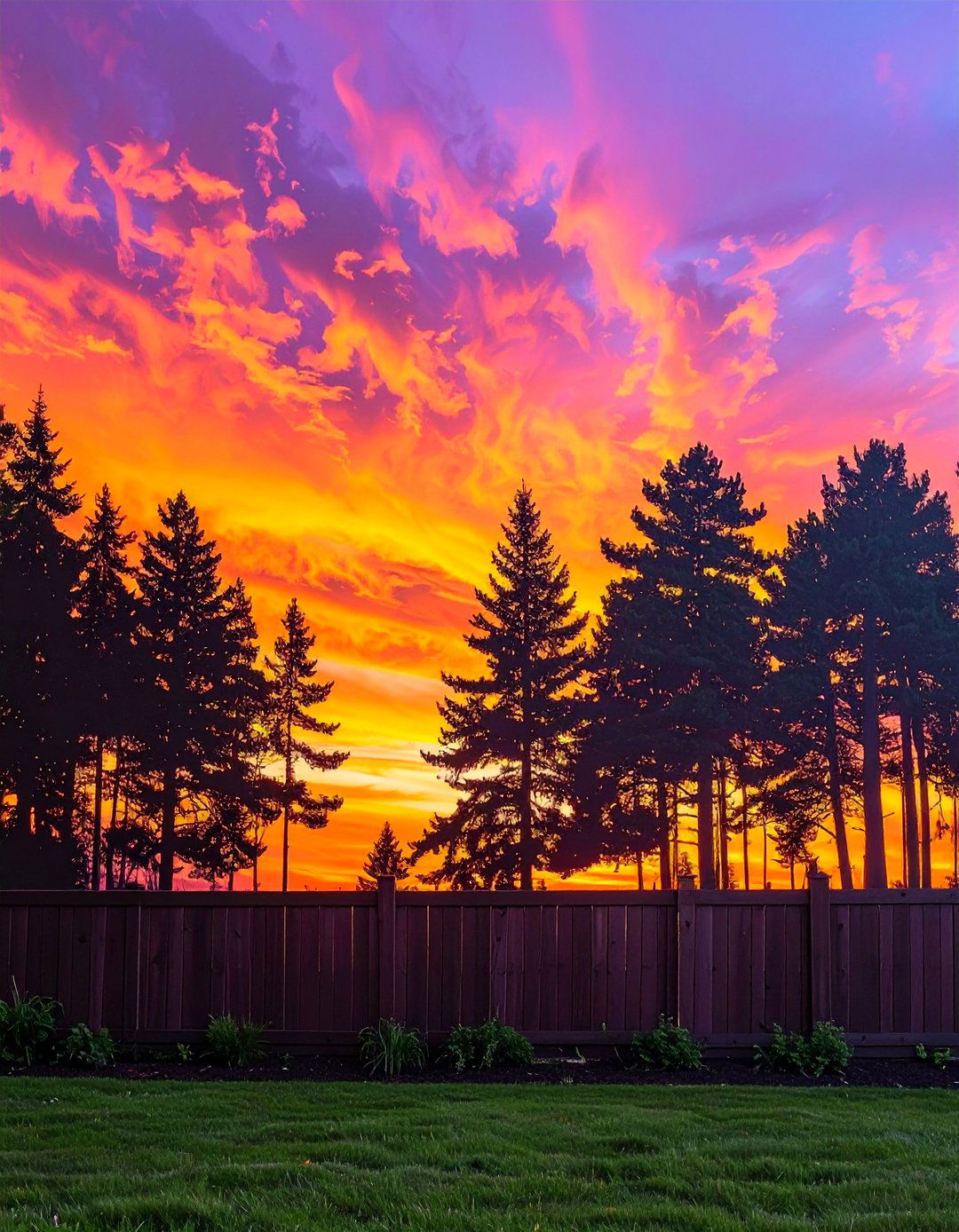 Silhouette of a Forest at Sunset Garden Mural - 30 Garden Mural Ideas to Brighten Your Outdoor Space