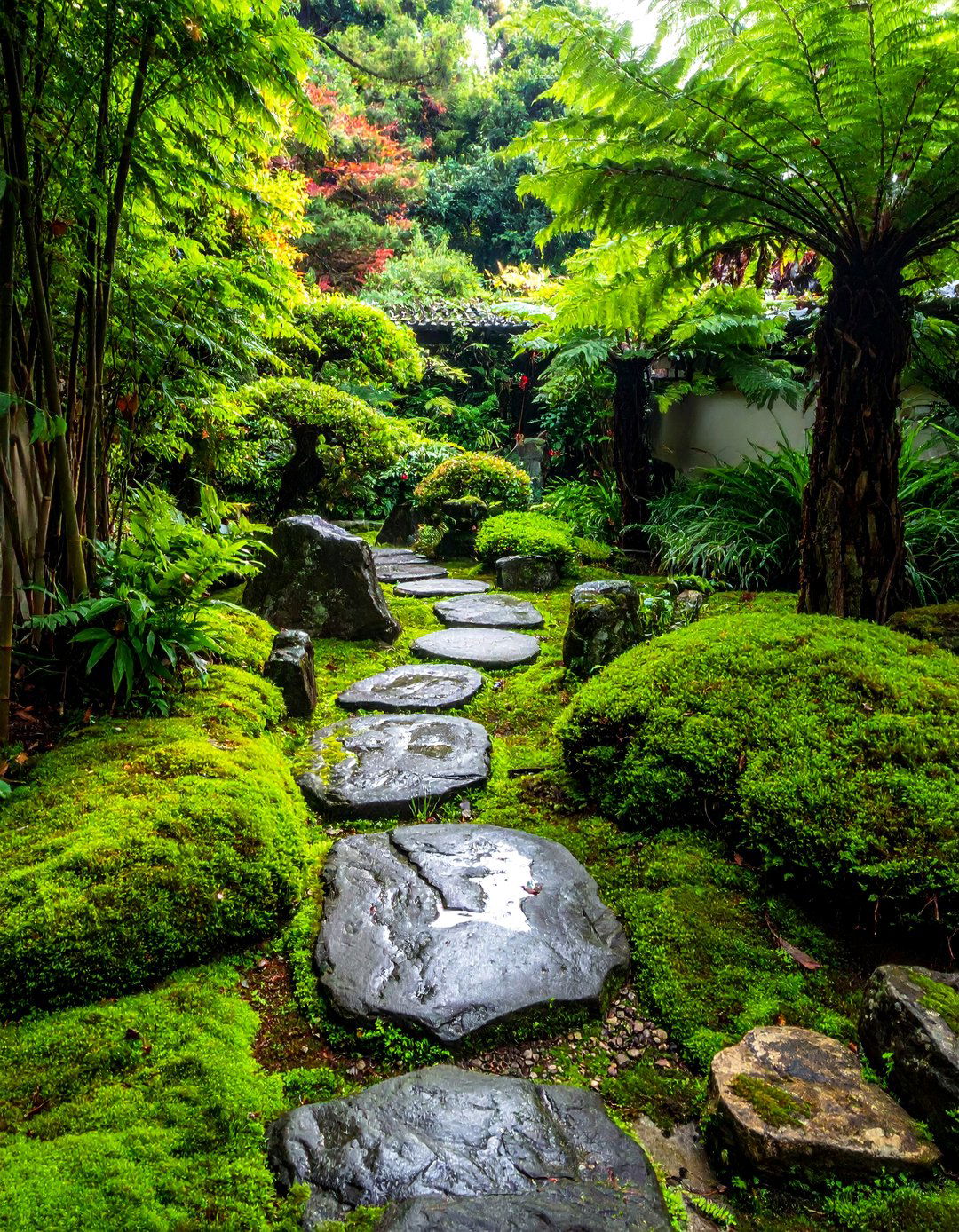 Traditional Tea Garden with Stone Pathway - 40 Japanese Garden Ideas for a Serene Outdoor Retreat