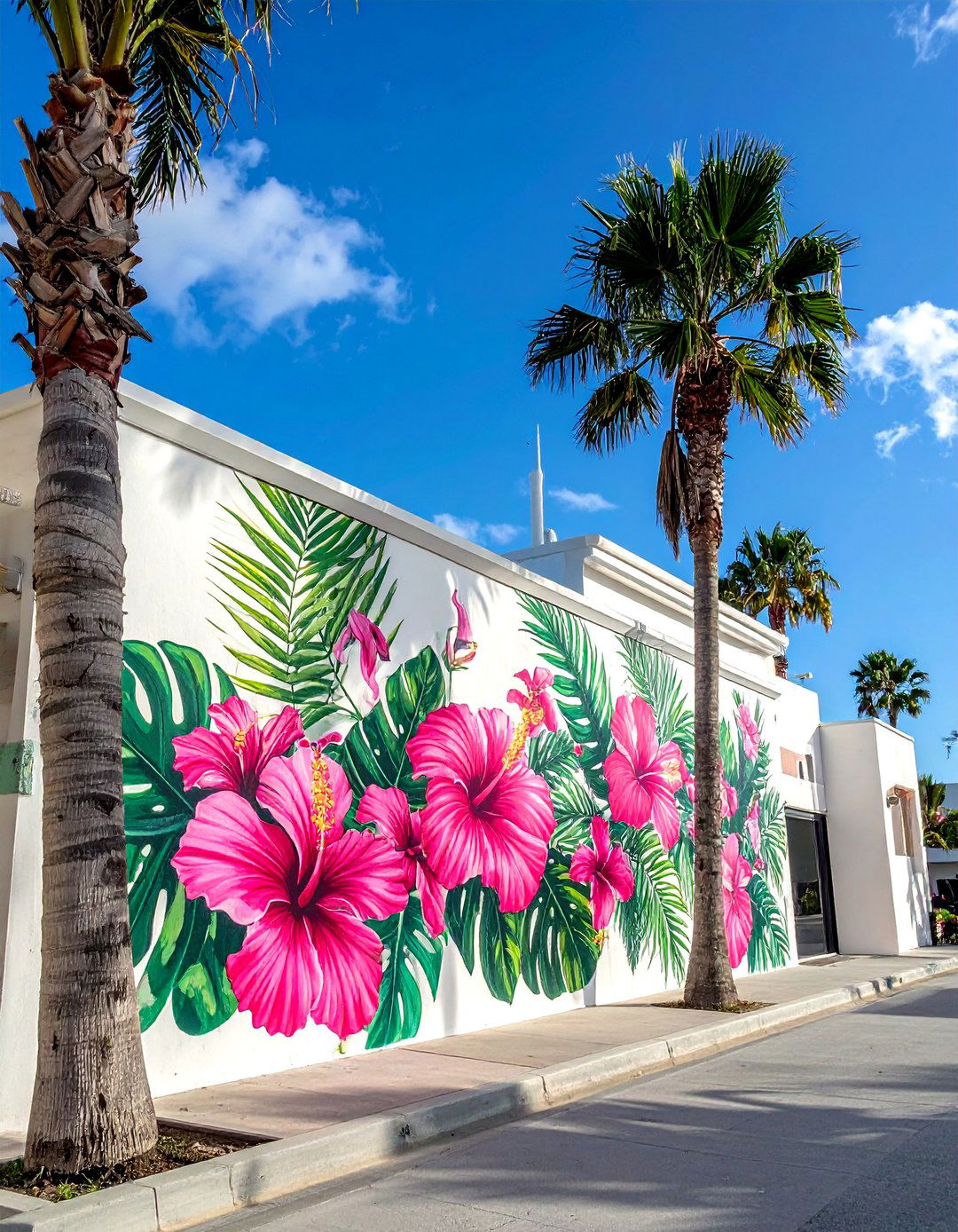 Tropical Hibiscus and Palm Murals on Buildings