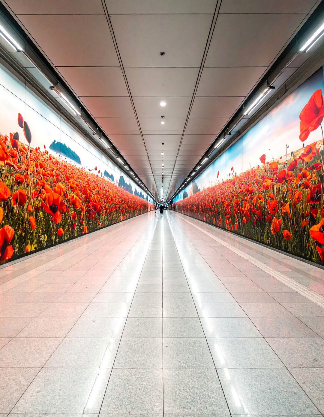 Vibrant Poppy Field Murals on Buildings - 20 Flower Murals on Buildings to Brighten Urban Landscapes