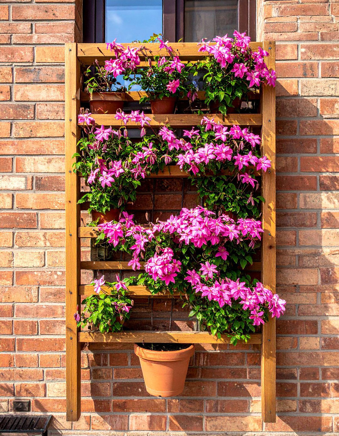 Wall Mounted Trellis Balcony Garden with Climbing Plants - 40 Creative Balcony Garden Ideas for Small Spaces